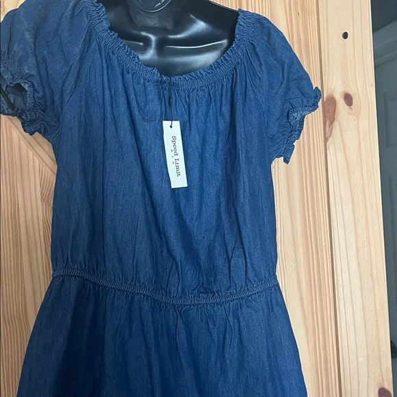 Blue Button-Front Dress - Picture 4 of 5